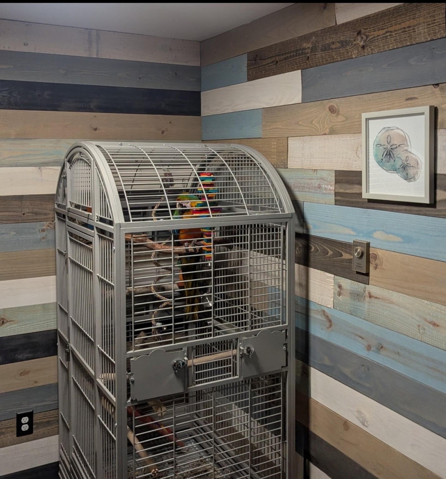 Finished custom wood plank accent wall in a completed room