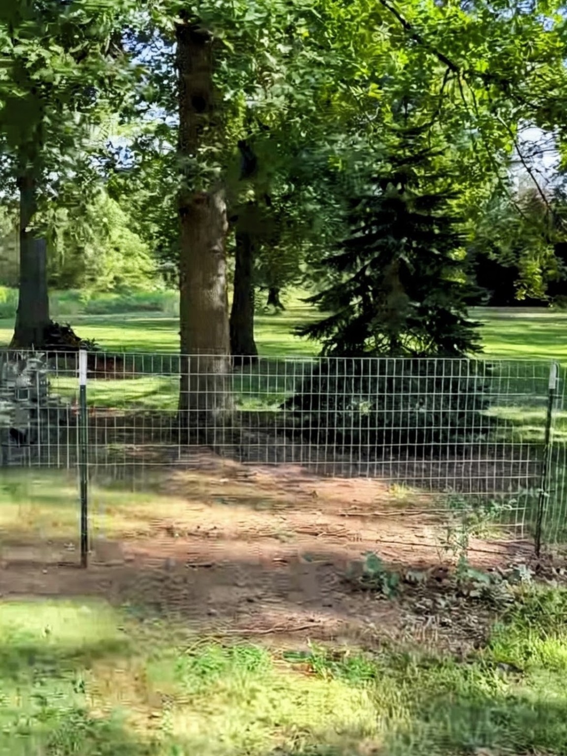 Wire mesh property fence installed by Pitboss