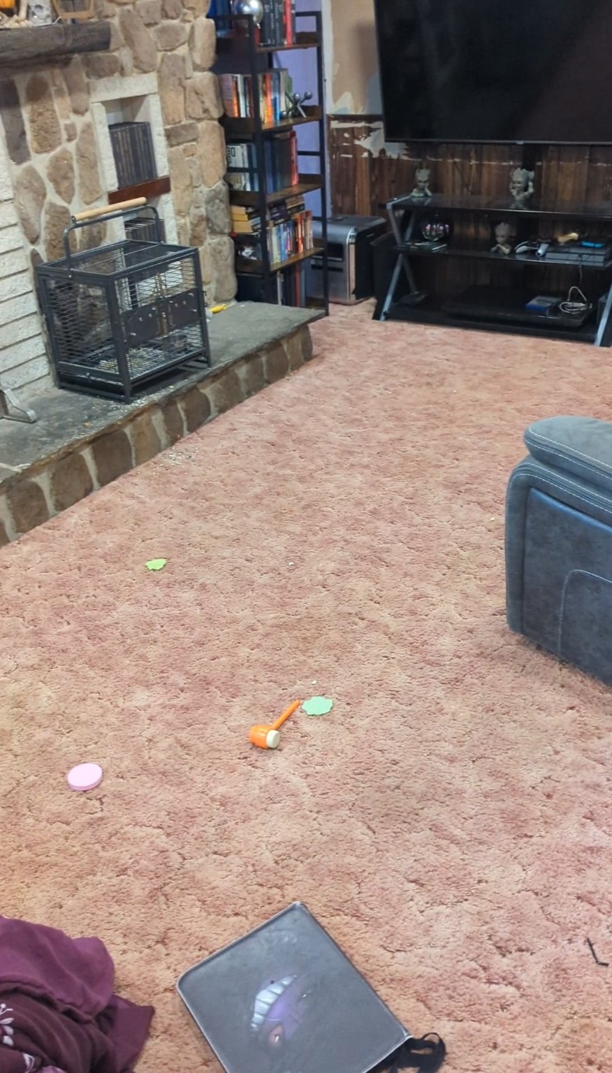 Old pink carpet before flooring replacement