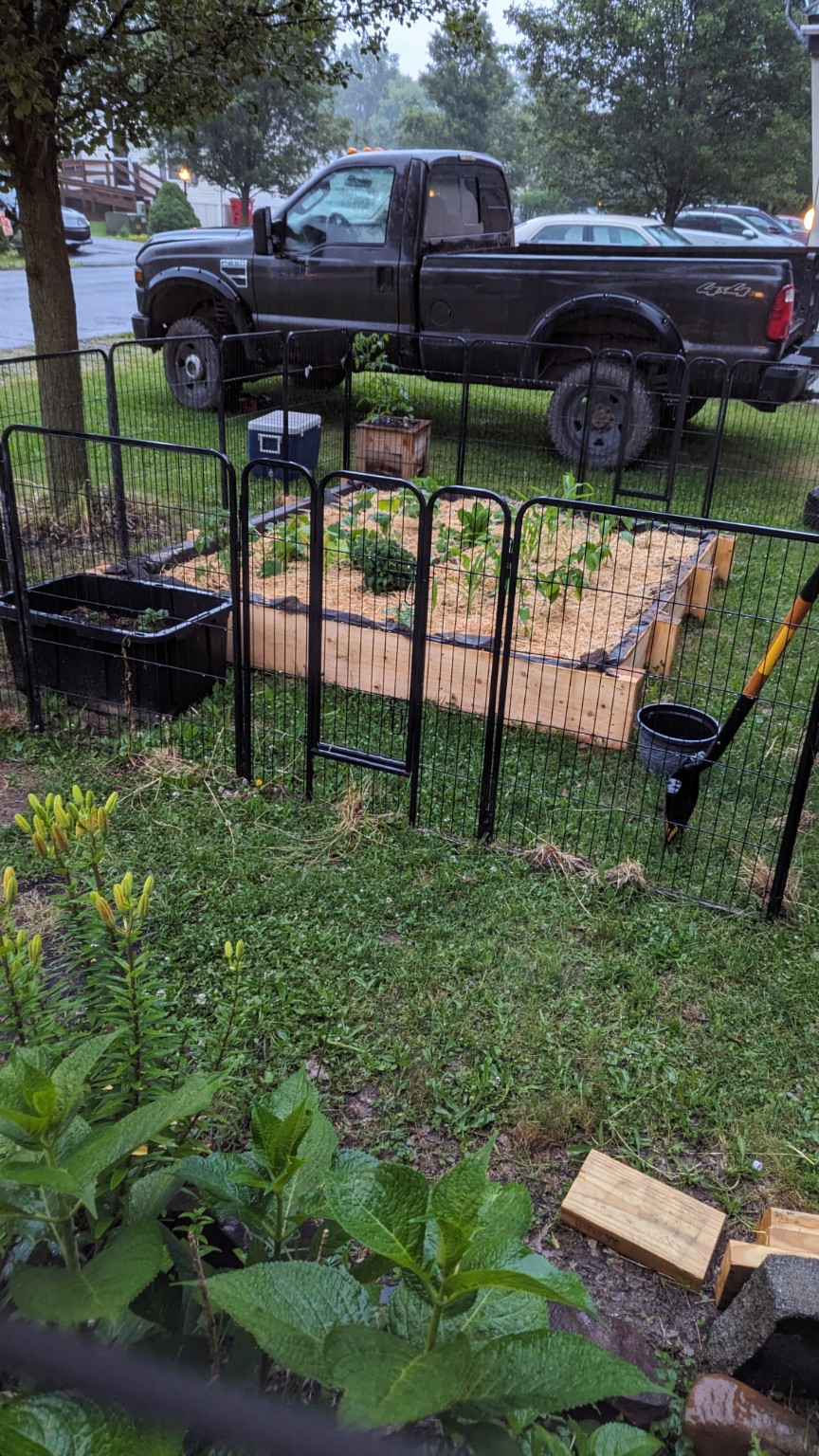 Raised garden bed and garden fence project