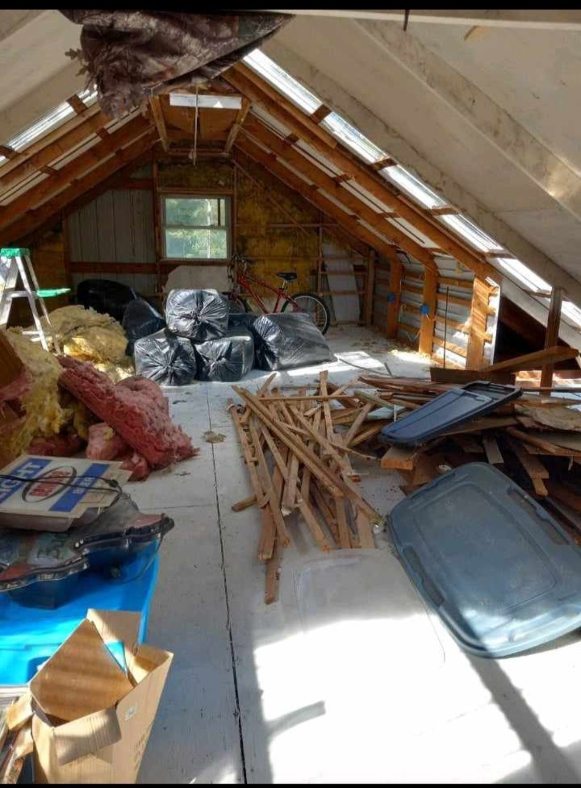 Attic cleanout and debris removal project by Pitboss
