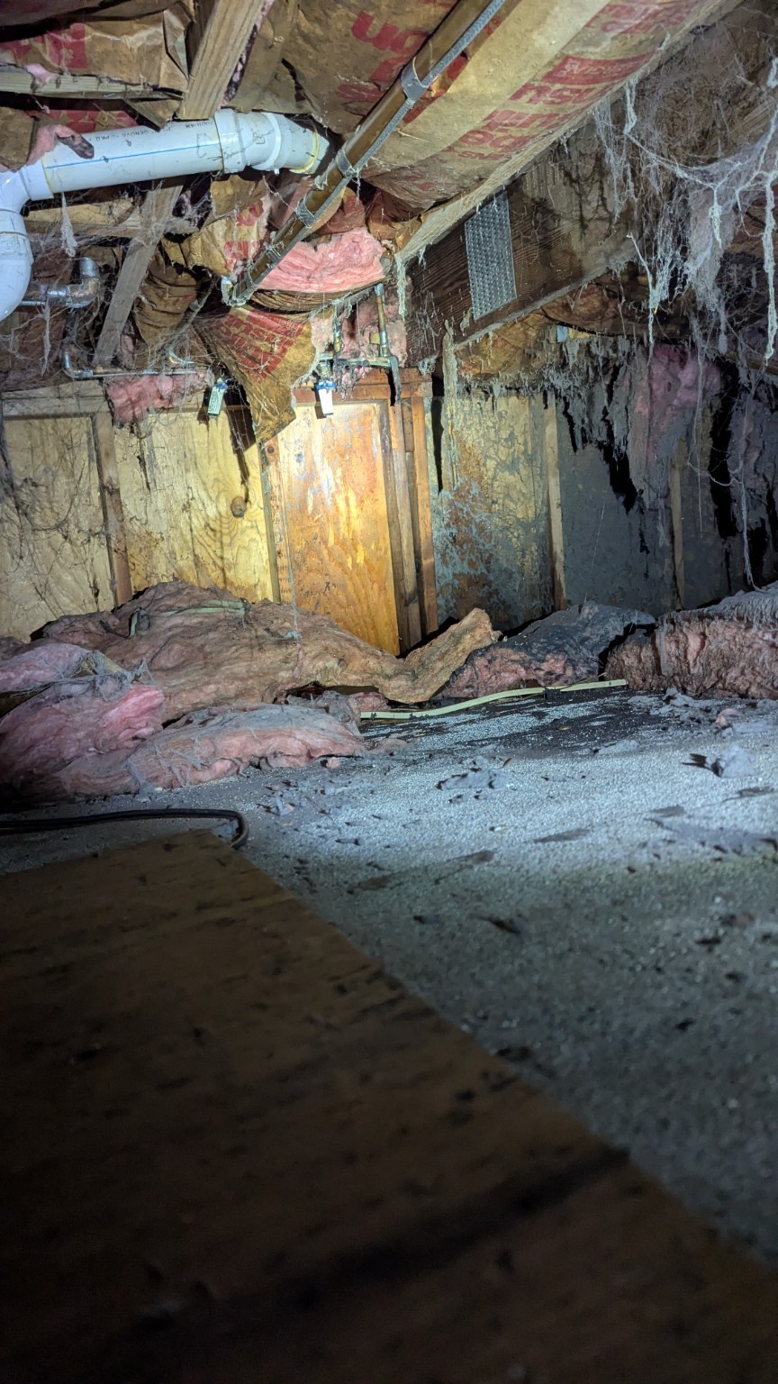 Basement and crawl space with old insulation and debris