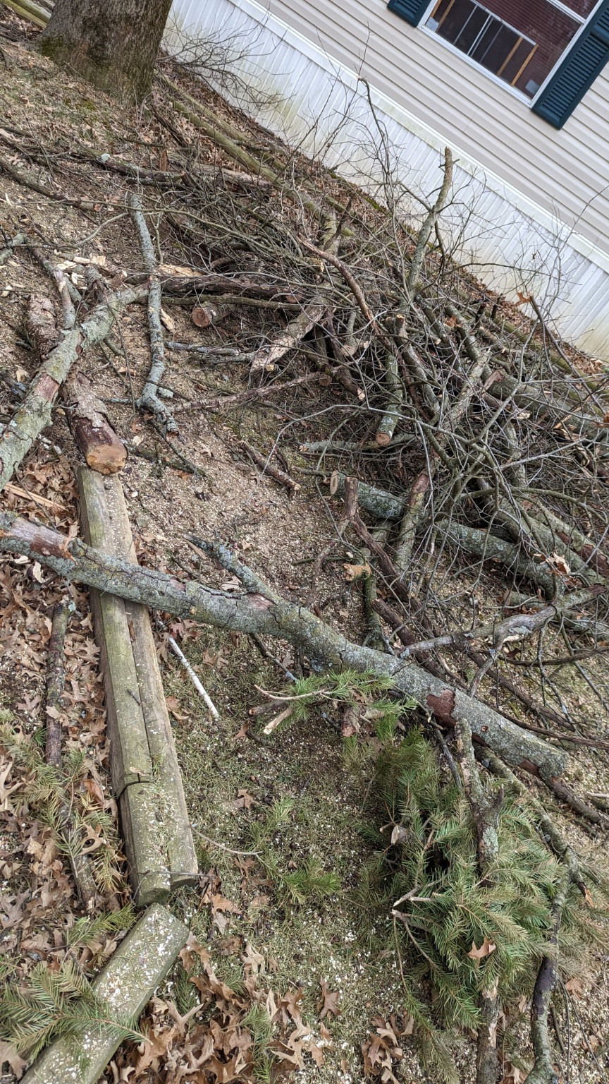 Cut branches and brush debris ready for outdoor cleanup