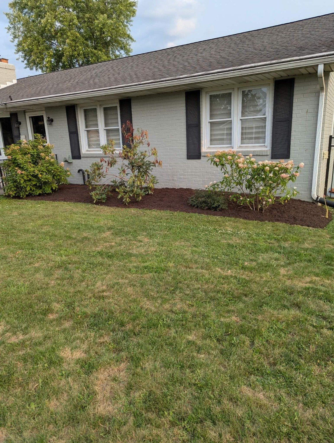 Restored residential landscape bed
