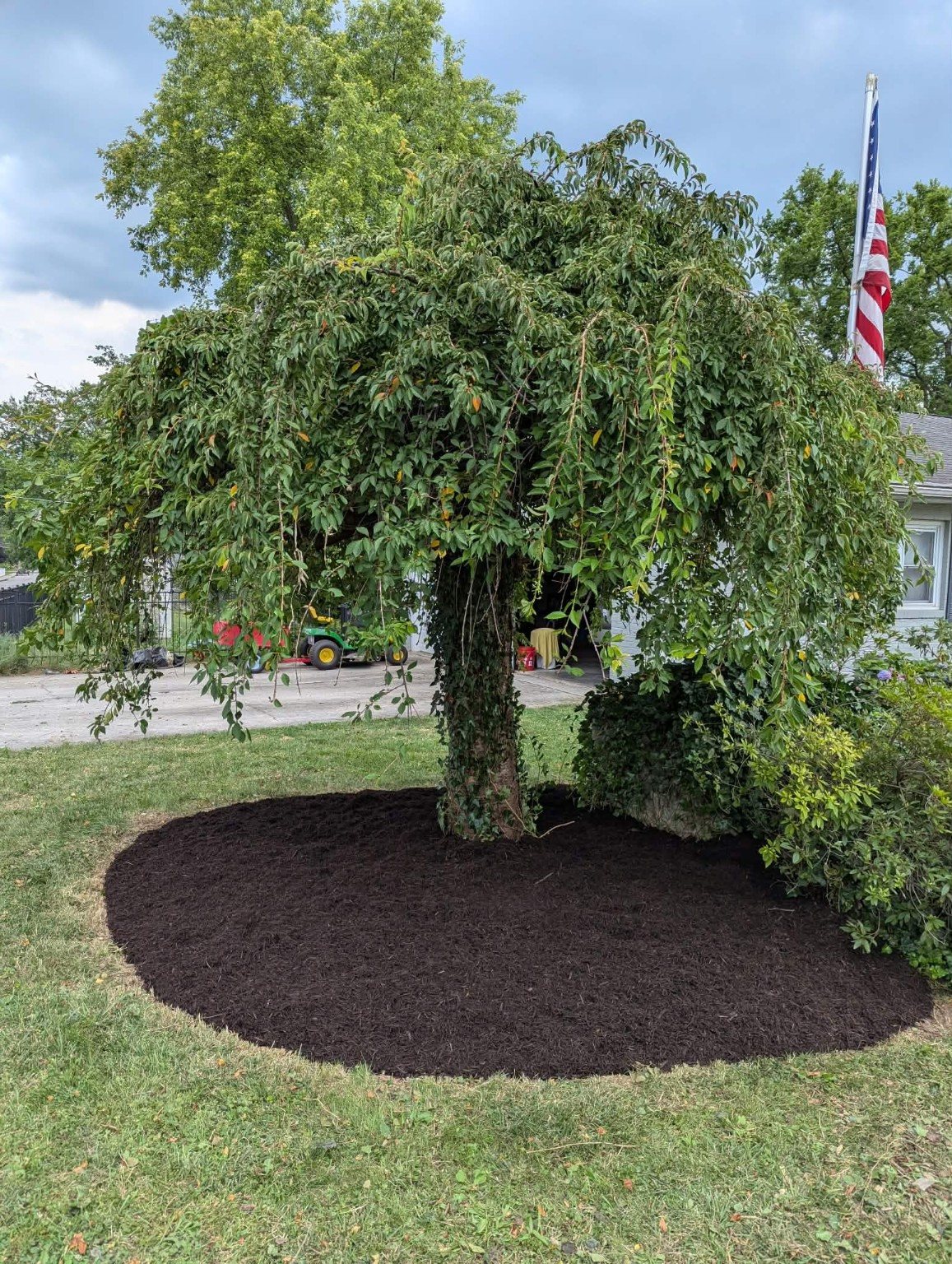 Finished dark mulch tree bed